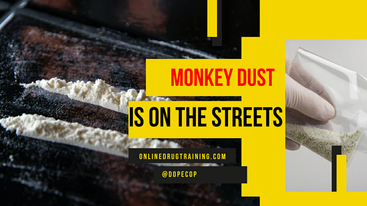 Monkey Dust (MDPHP) is the Latest Synthetic Drug to Hit the Streets