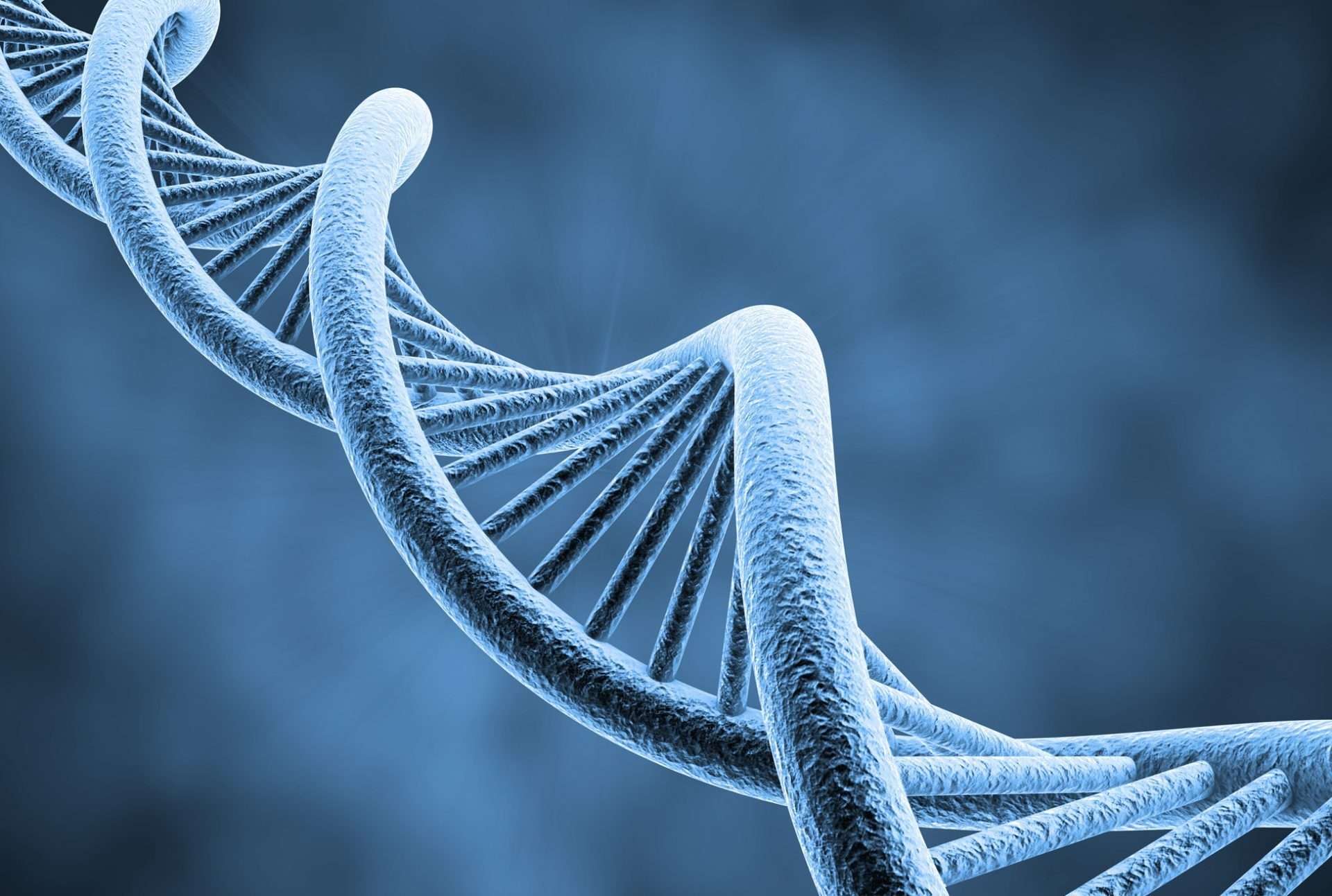 About Gravity Diagnostics