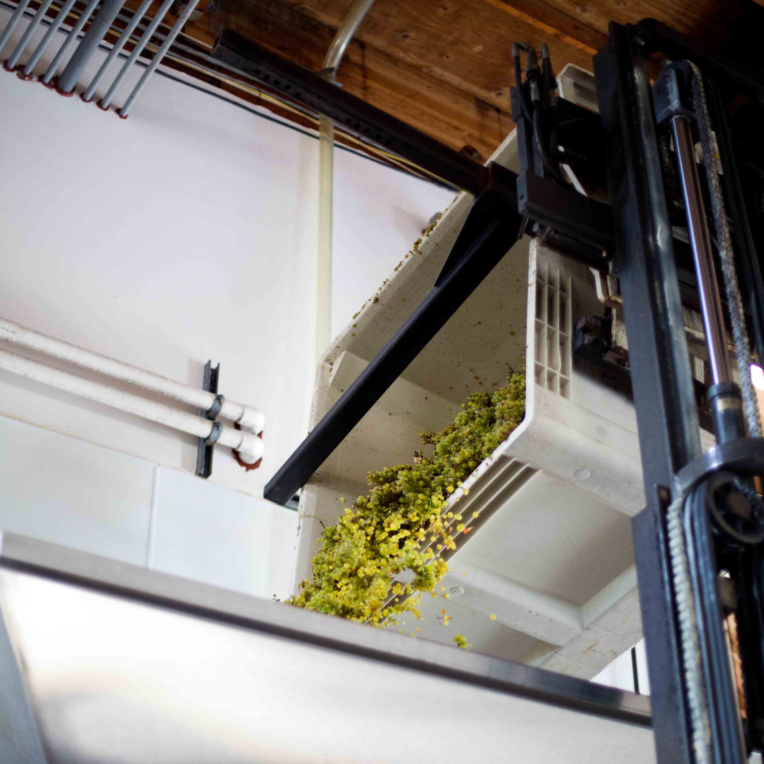 Crush Gravity Wine House