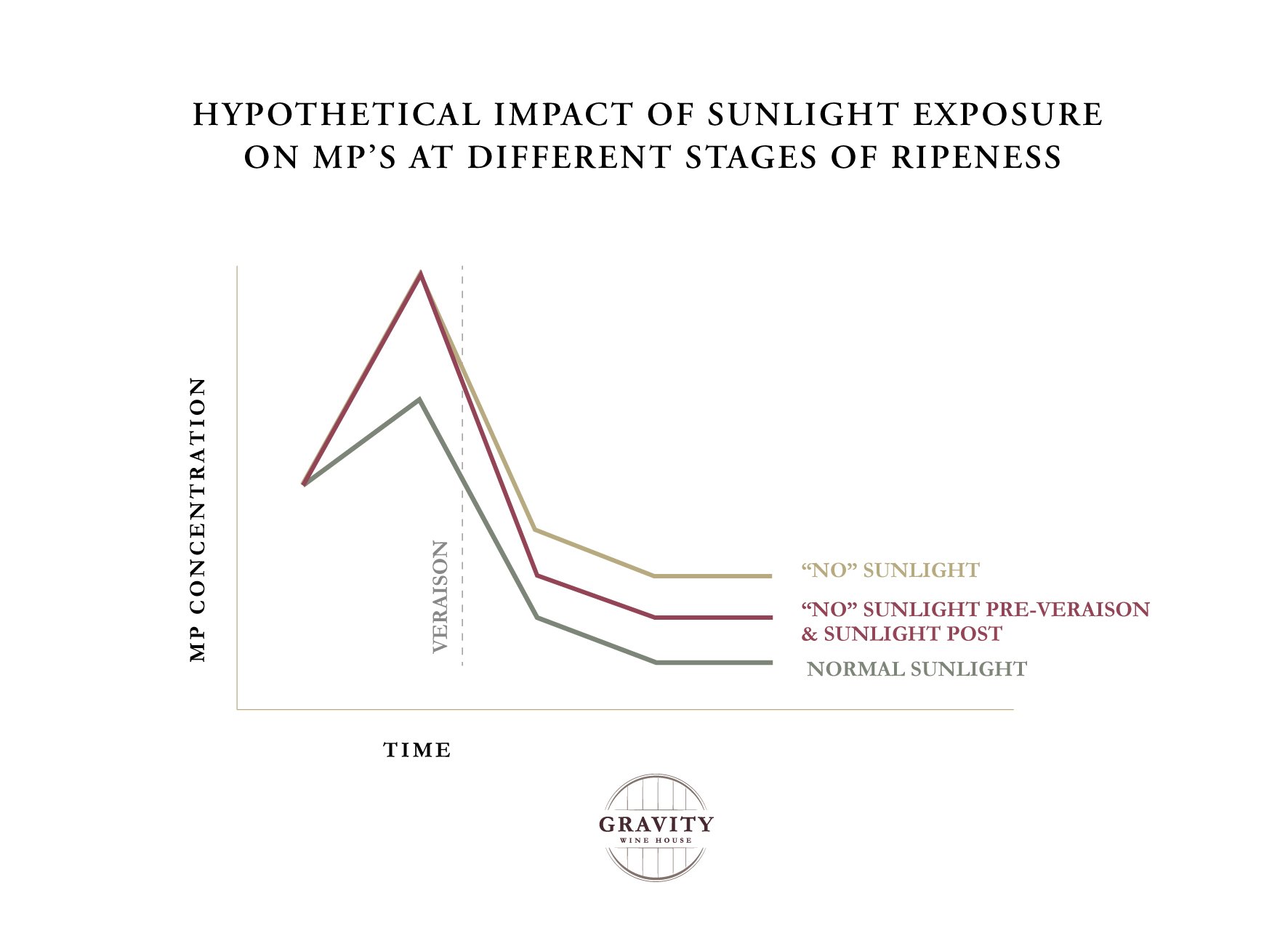 The “mean greenies” Methoxypyrazines in wine Gravity Wine House