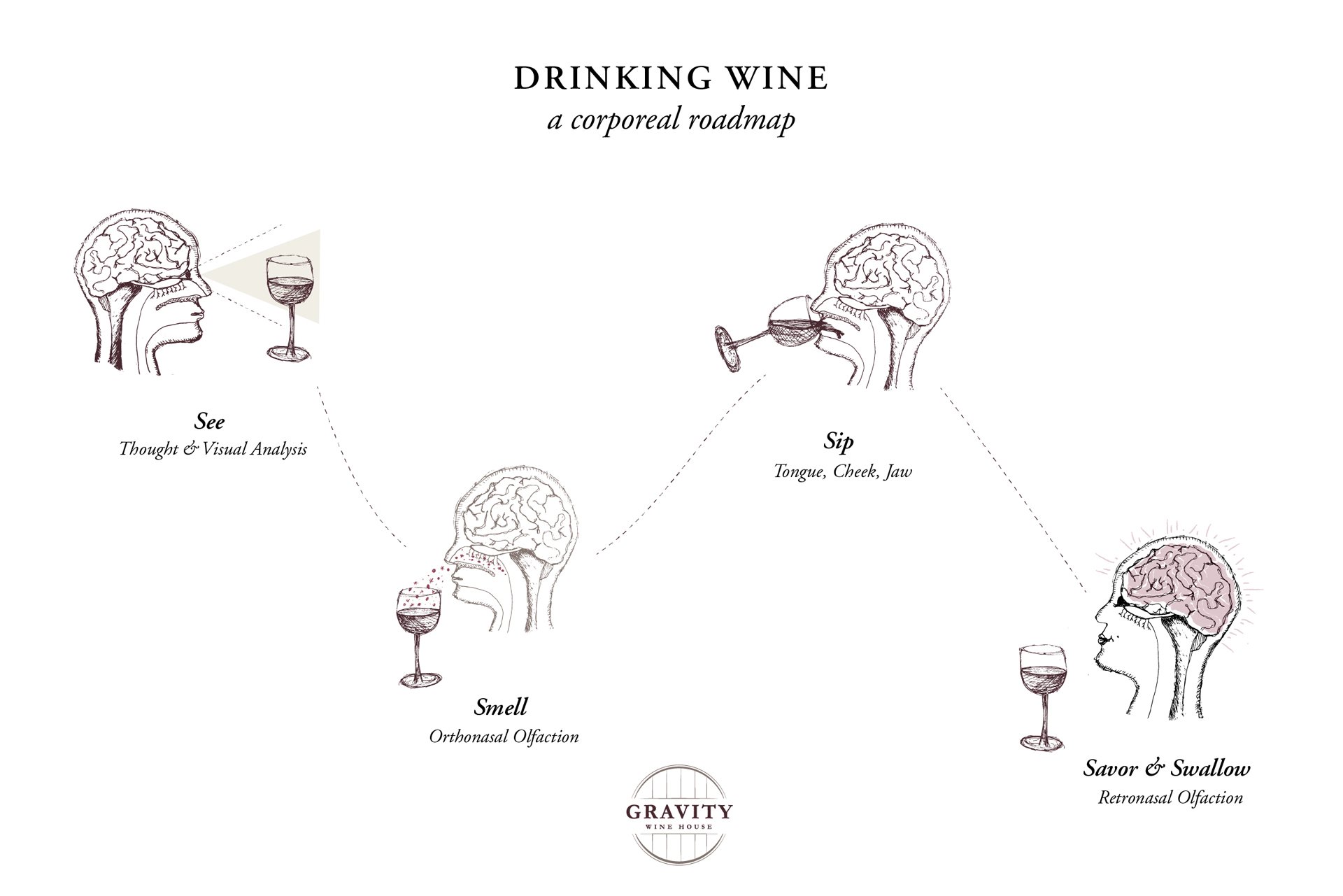 Neuroenology The Brain Science Behind Wine Tasting Gravity Wine House