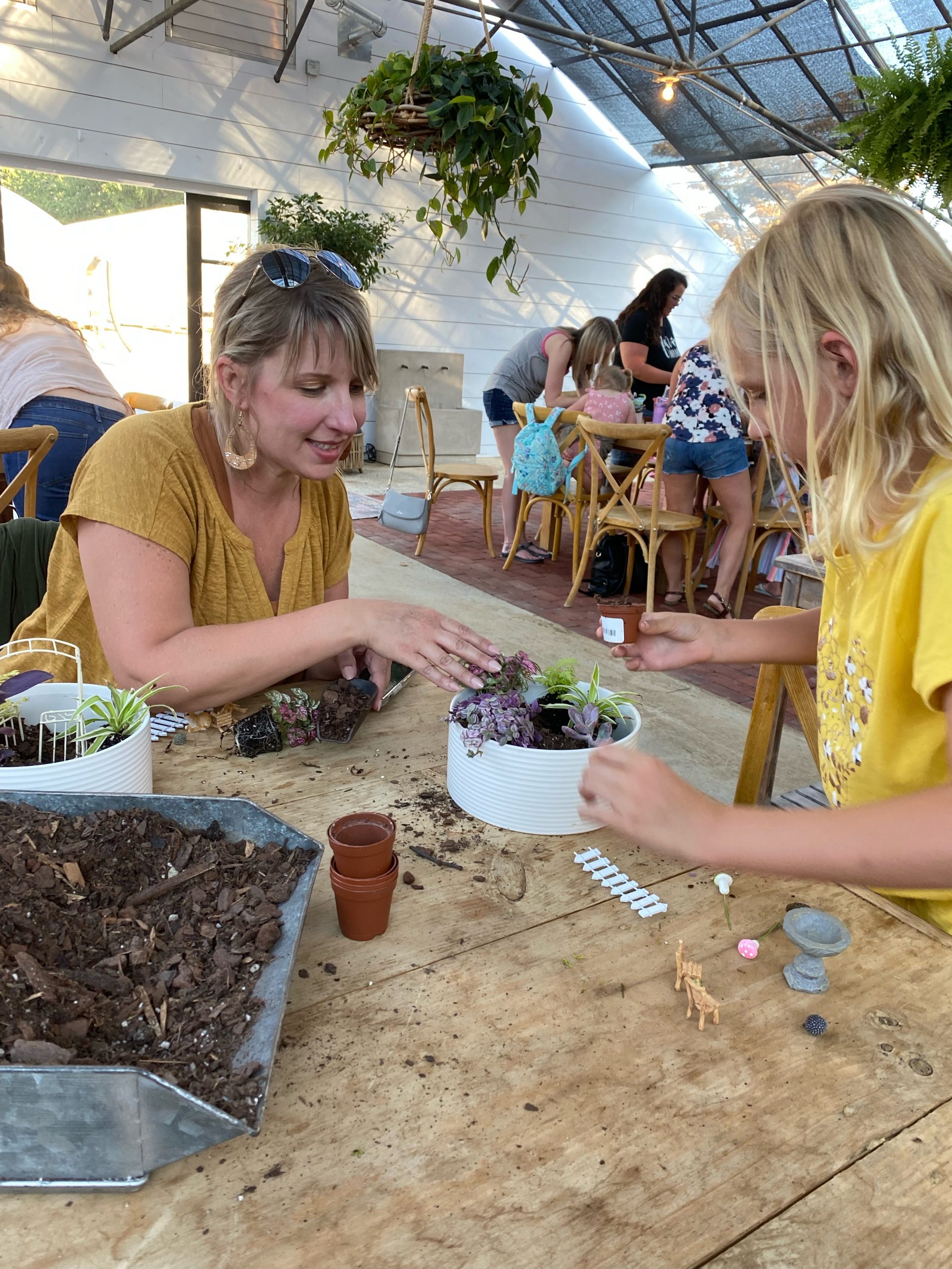 Fairy Garden Grayce Gardens