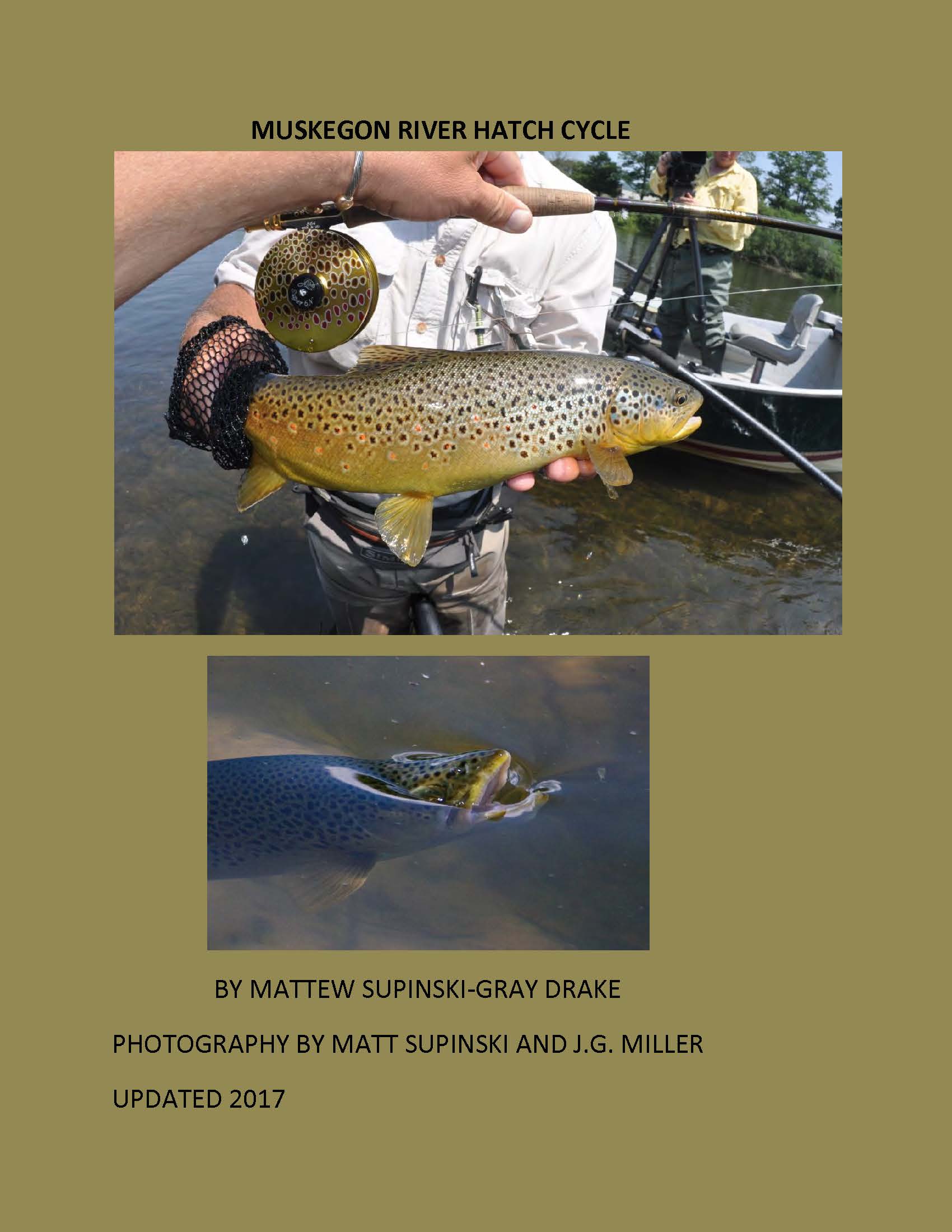 Hatches Matthew Supinski’s Gray Drake Fly Fishing