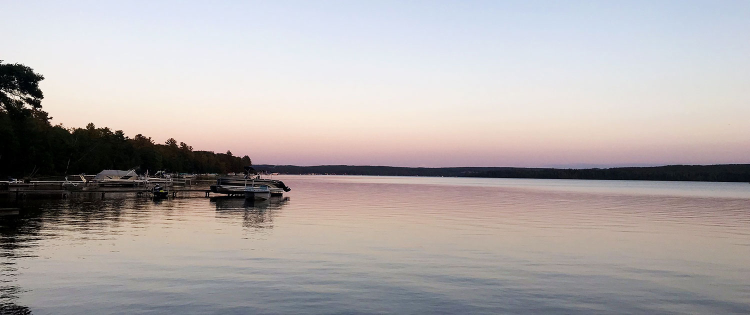 Homes For Sale On Lake Margrethe Mi at Patrick Anderson blog