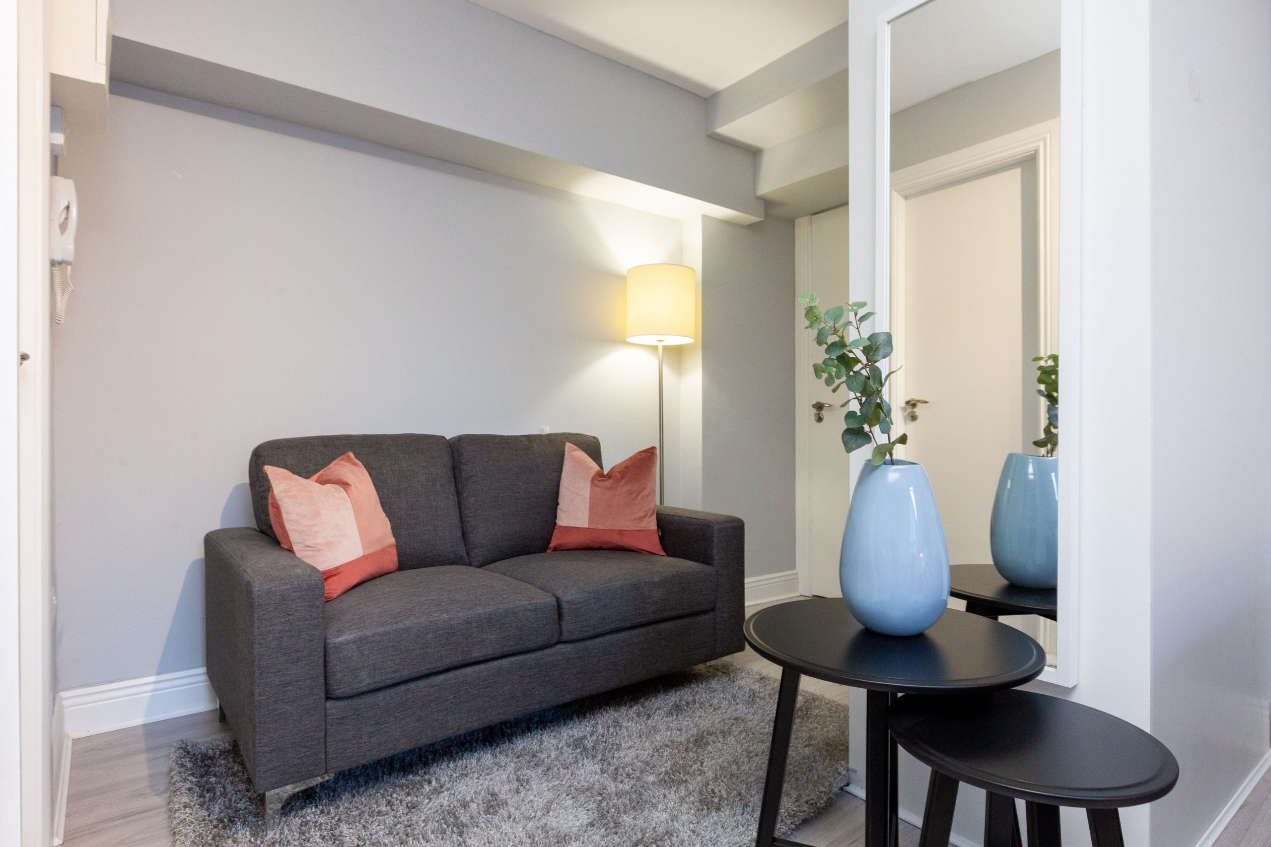 Apartments Dublin Rathmines for rent city centre