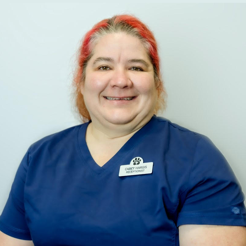 Best Veterinary Hospital In Gray, GA Gadd’s Animal Doctors