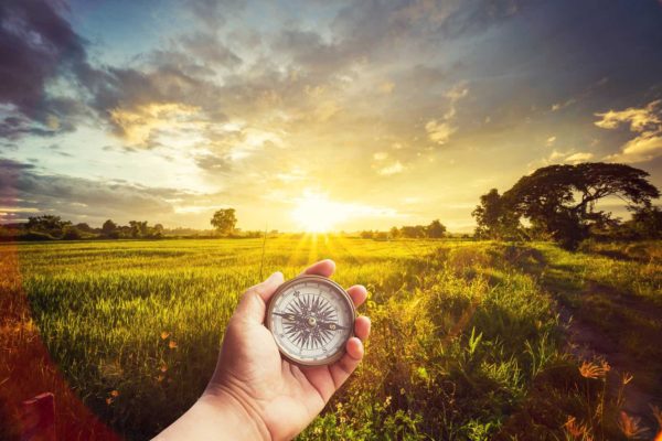 User Guide The Great Awakening Report