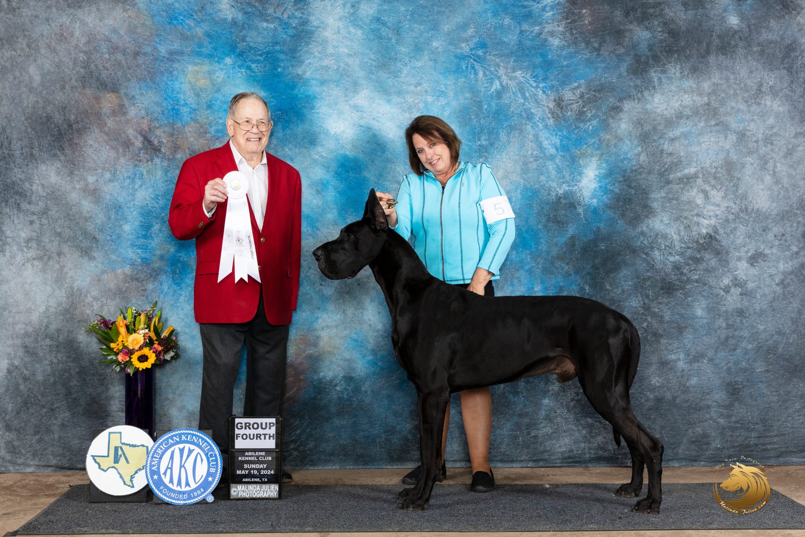 Griffin Great Dane Review