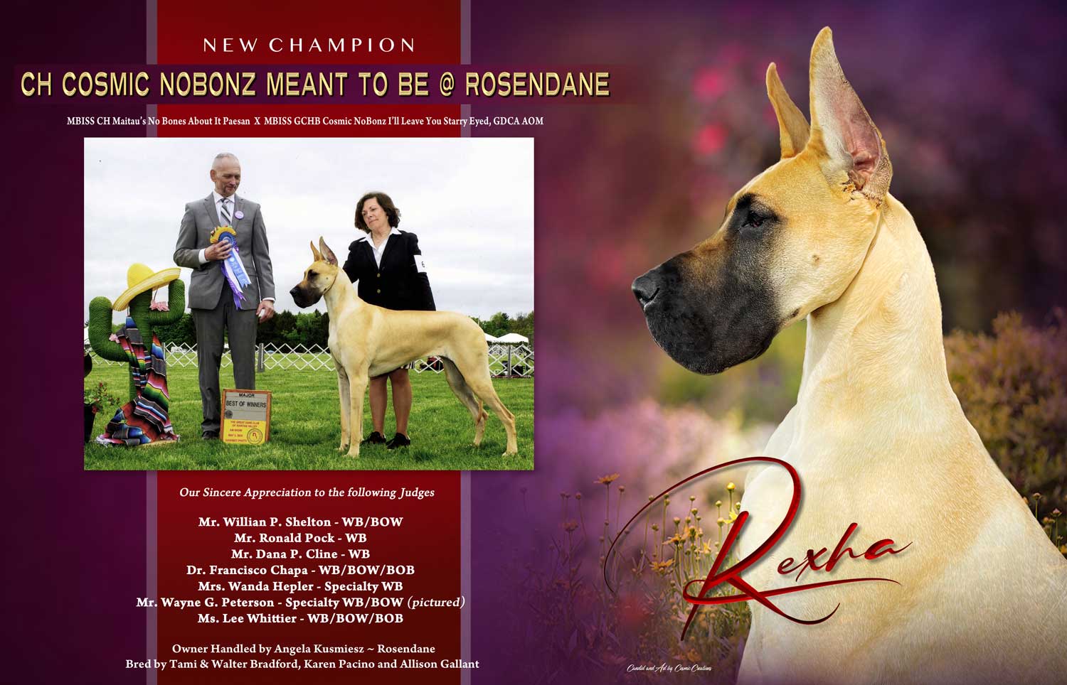 New Champion Great Dane Review