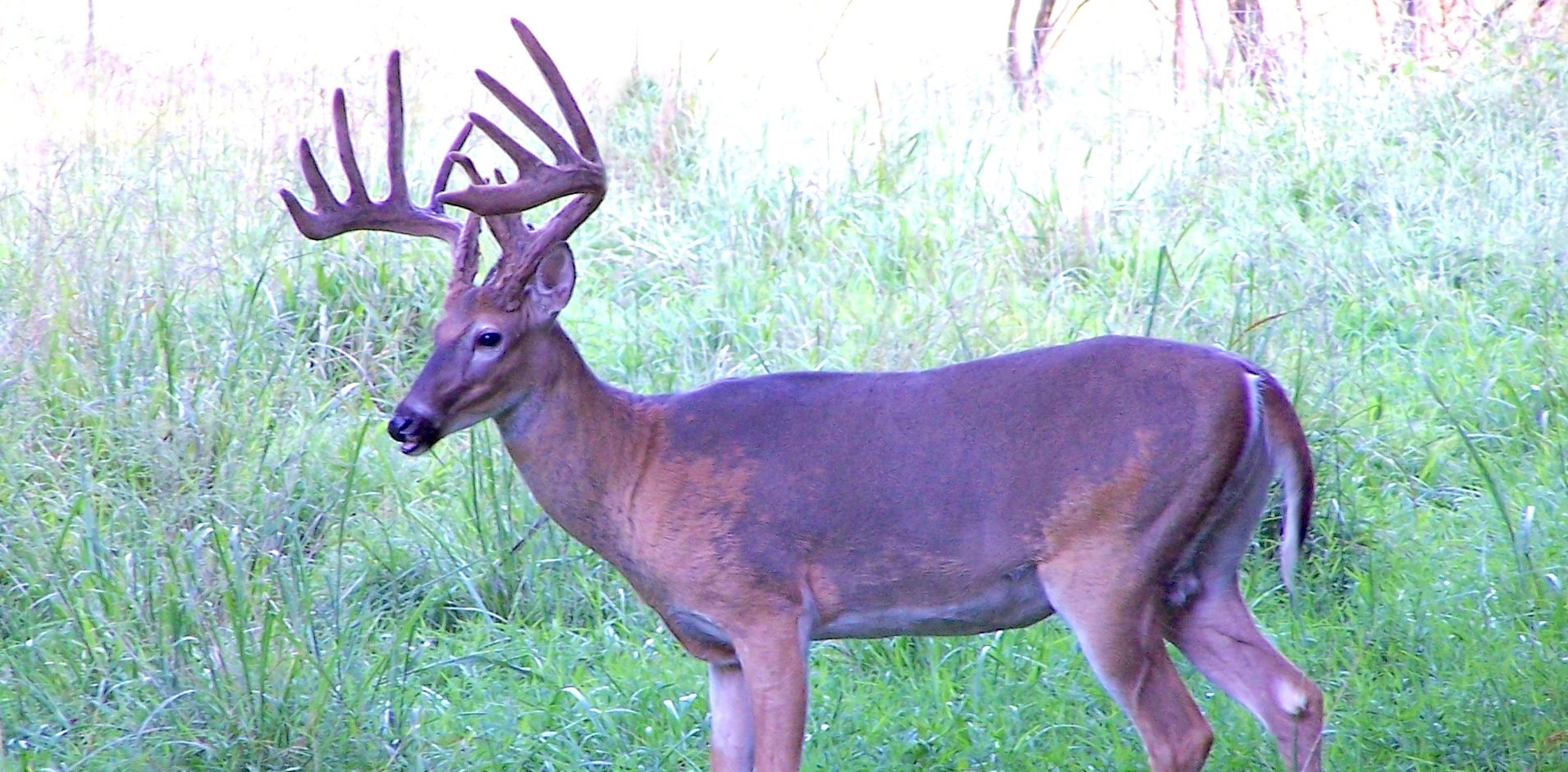 Choosing The Best Hunting Lease Insurance Policy Great Days Outdoors