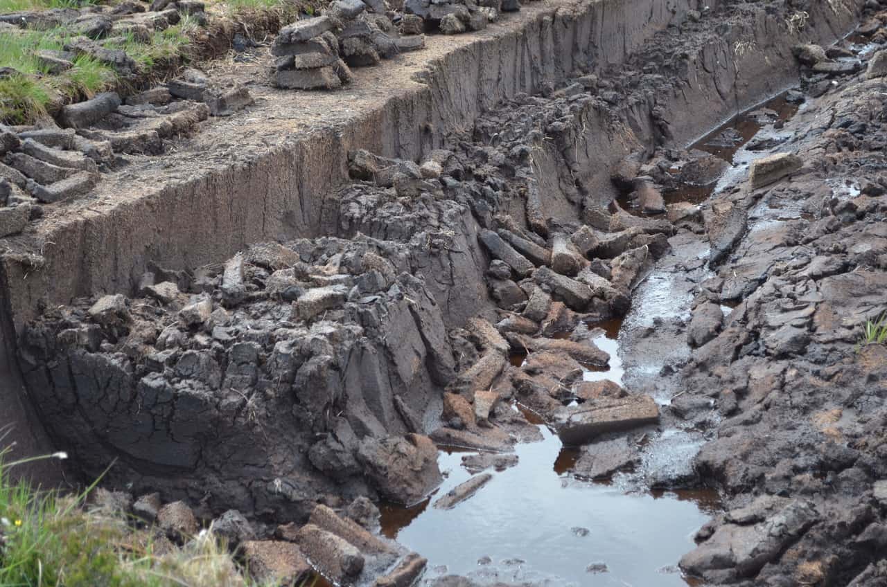 Difference between peated malt from Islay and peated malt from the
