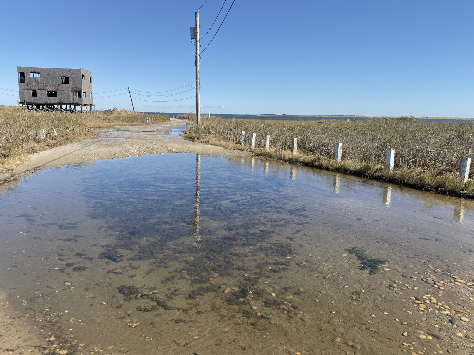Mastic Beach Managed Retreat & Habitat Restoration Great Ecology