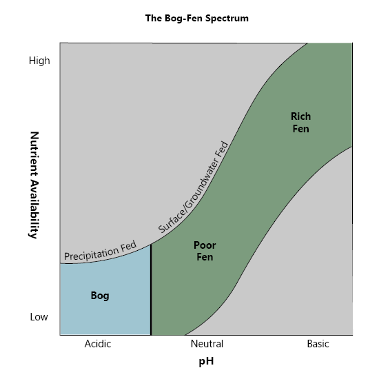 Bogs & Fens What’s the Difference, for Peat’s Sake!? Great Ecology