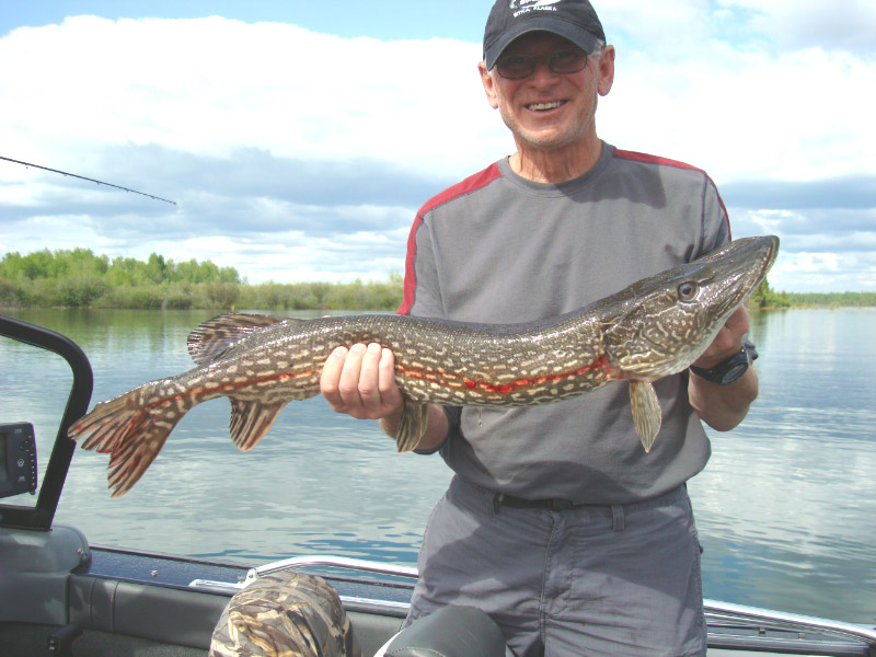 Cormorant Lake The Pas Manitoba Canadian Pike Walleye Fishing