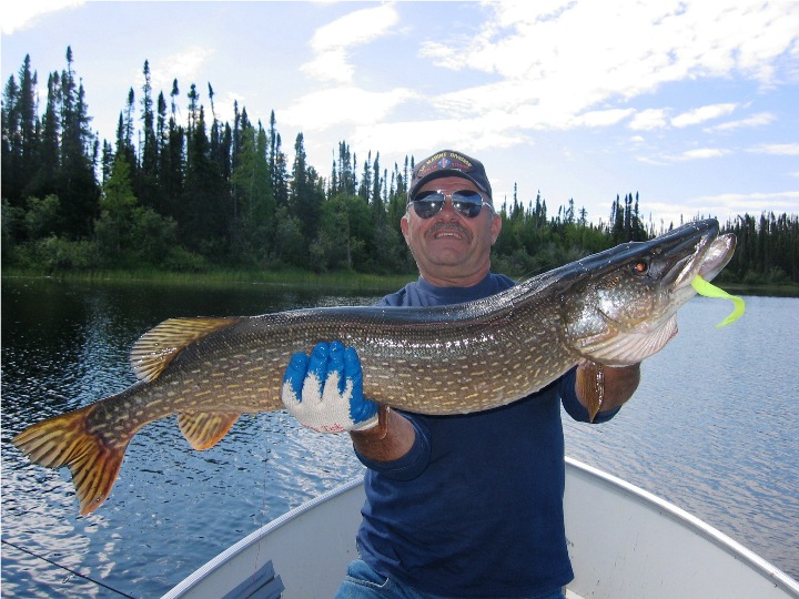 Cormorant Lake The Pas Manitoba Canadian Pike Walleye Fishing