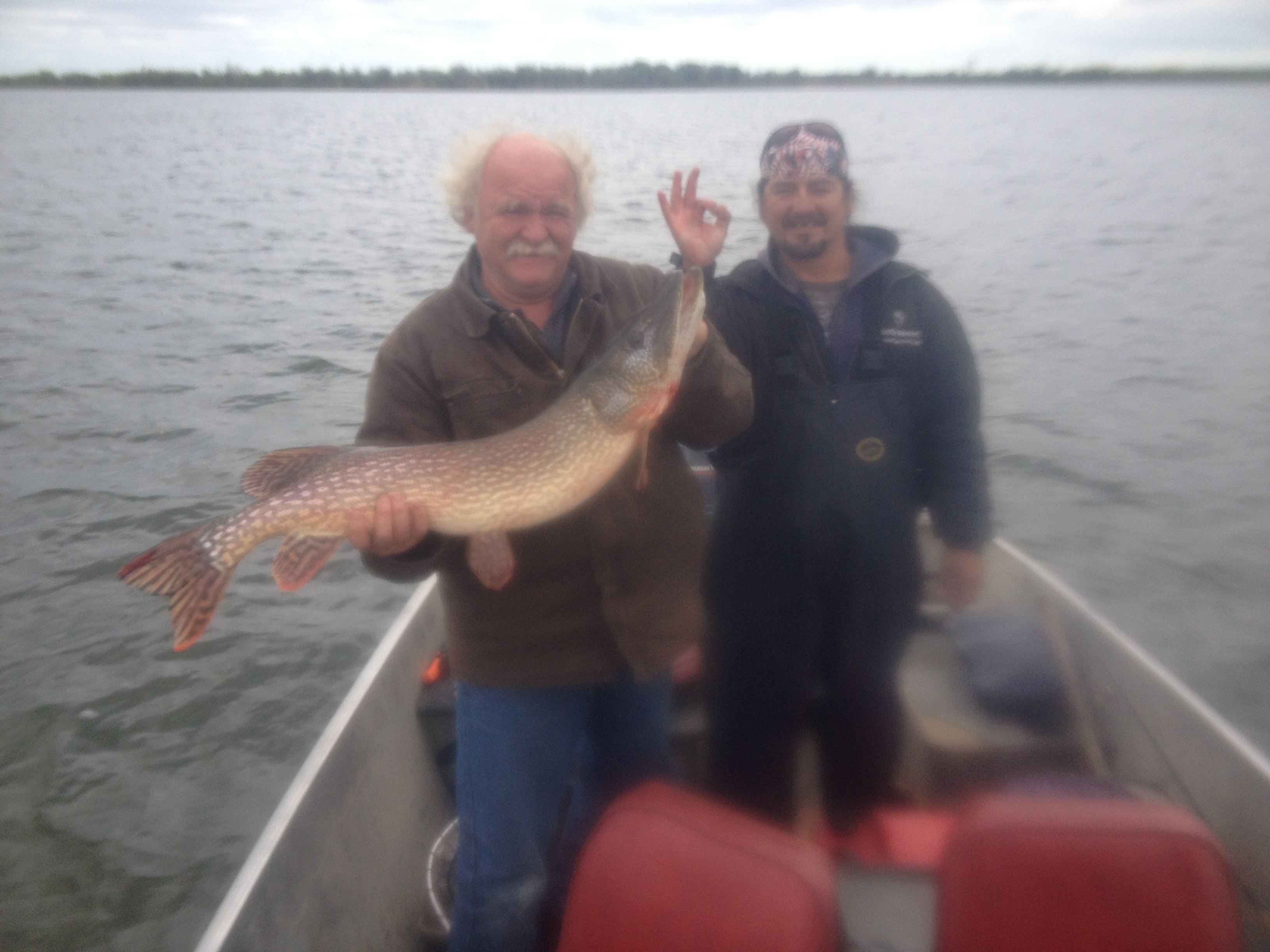 Cormorant Lake The Pas Manitoba Canadian Pike Walleye Fishing