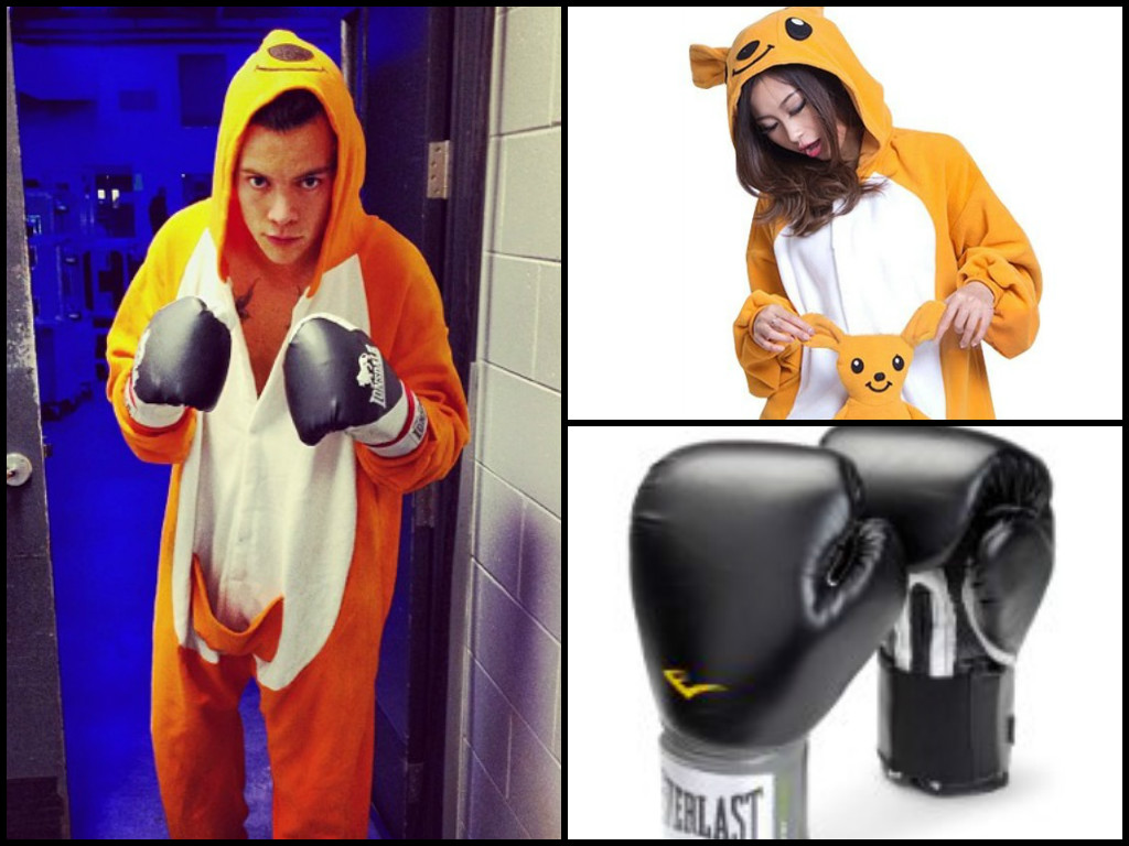 Halloween Costume Ideas Harry Styles Kangaroo Onesie