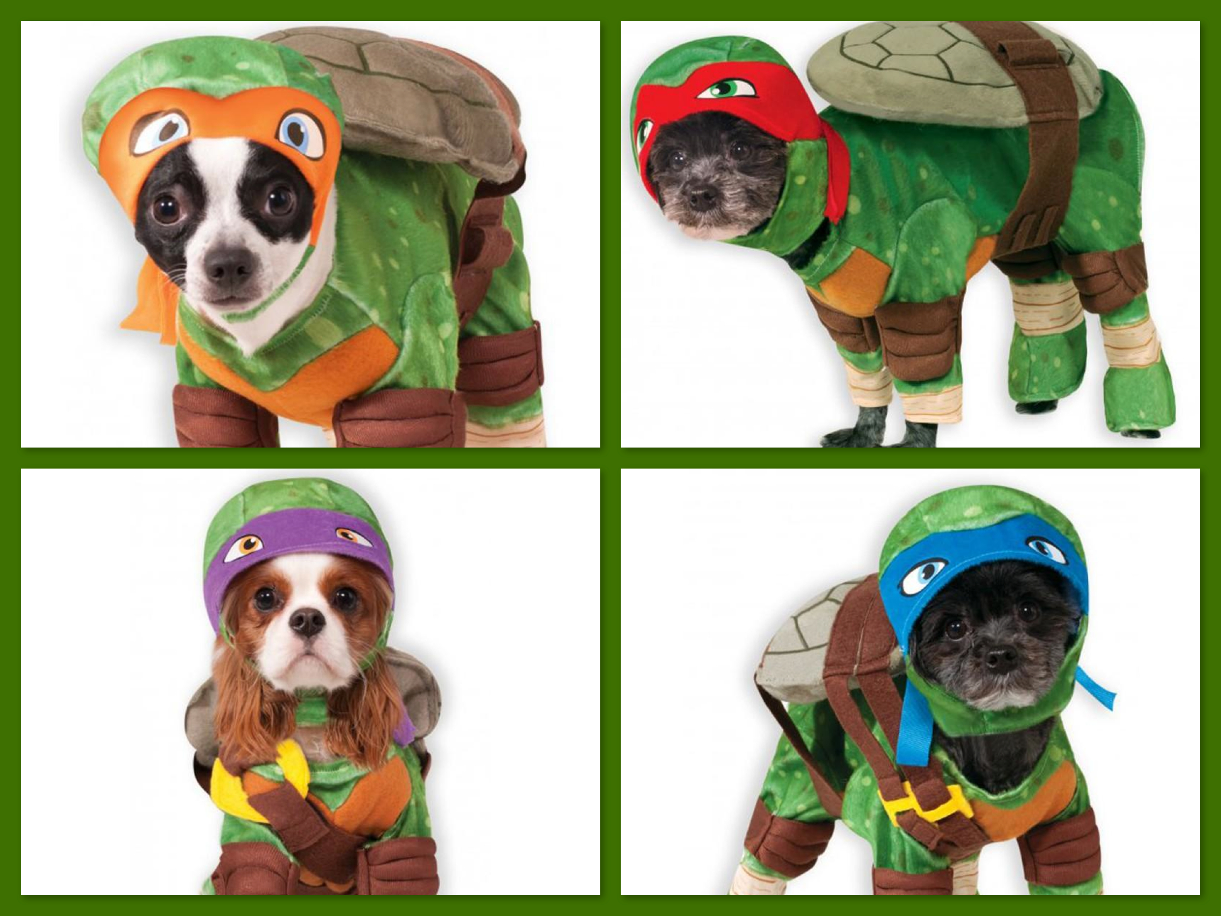 Dog Turtle Halloween Costumes TMNT Pet & Family Costumes