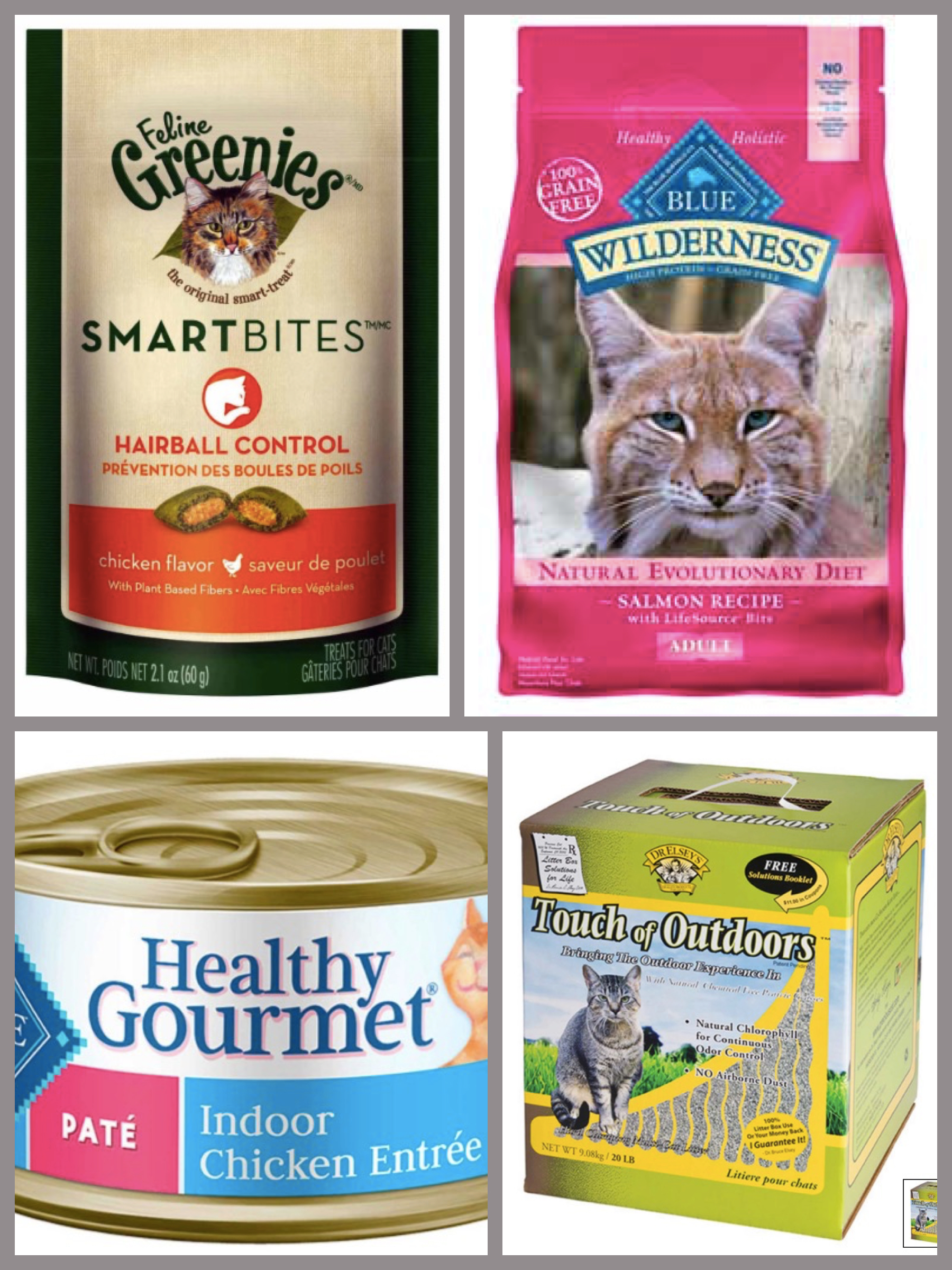 Top 15 Ways to Celebrate Cats