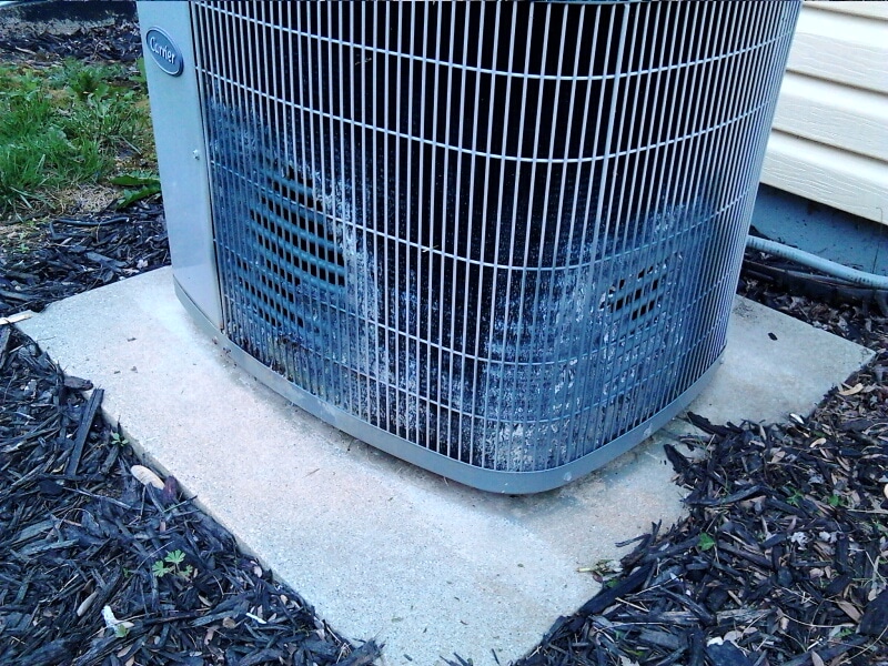 A/C Coil Dog Urine Damage Buyer's Inspection Service