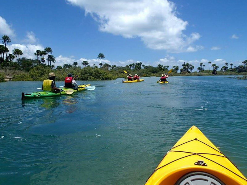 Things To Do On Great Keppel Island GKI Hideaway