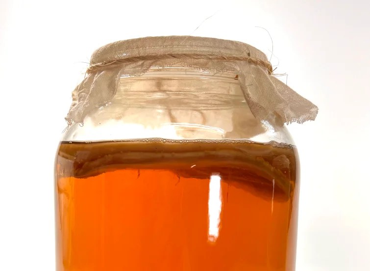 How To Make Kombucha Great Kombucha