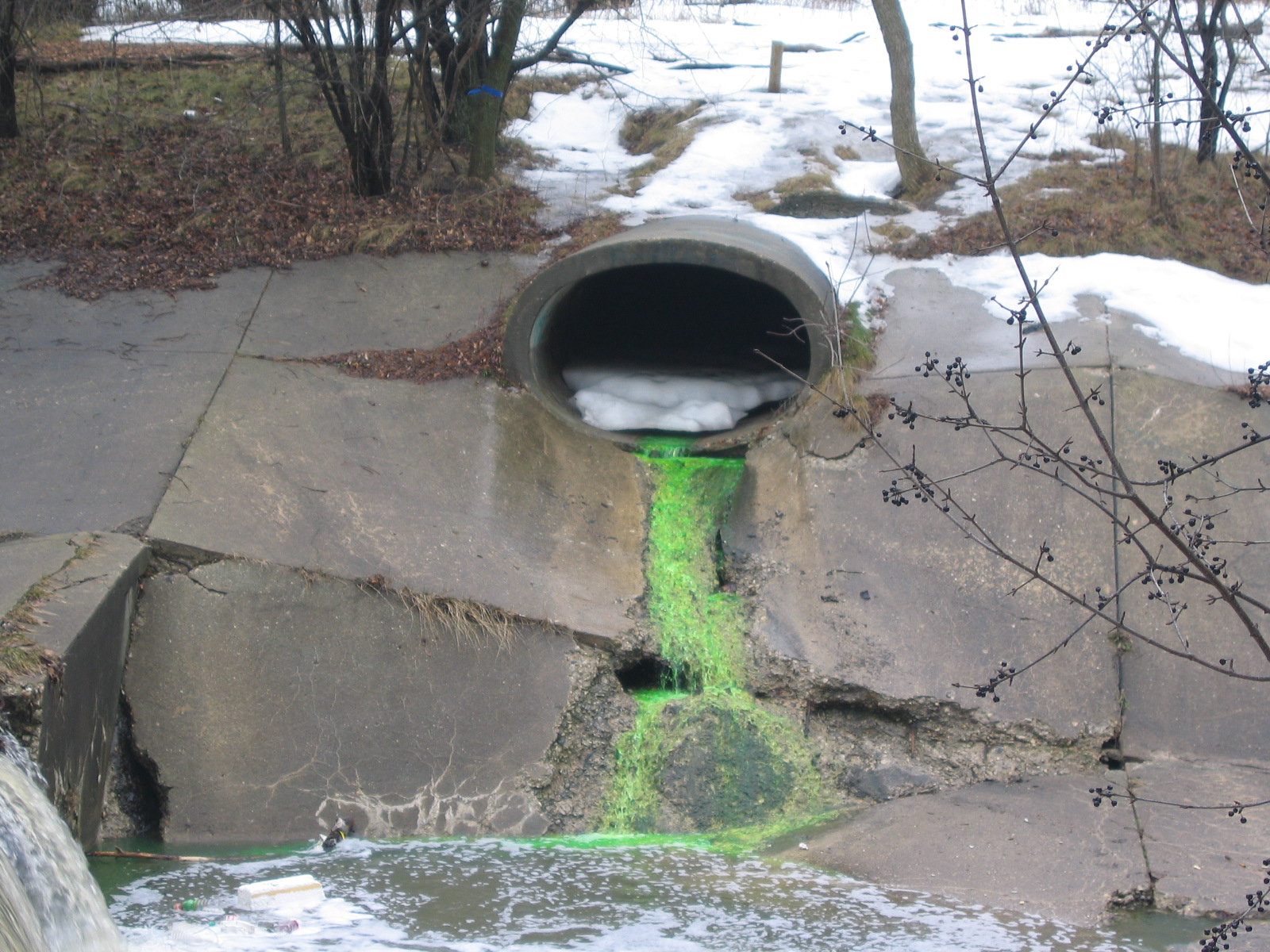 Leaky pipes Researchers find sewage in most Milwaukee stormwater discharges Great Lakes Echo