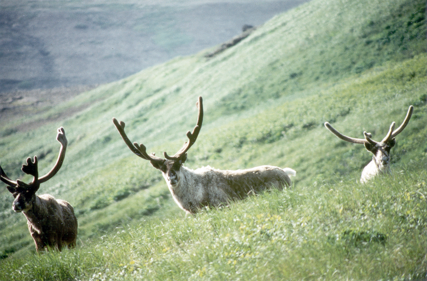 Prehistory found deep in Lake Huron Great Lakes Echo