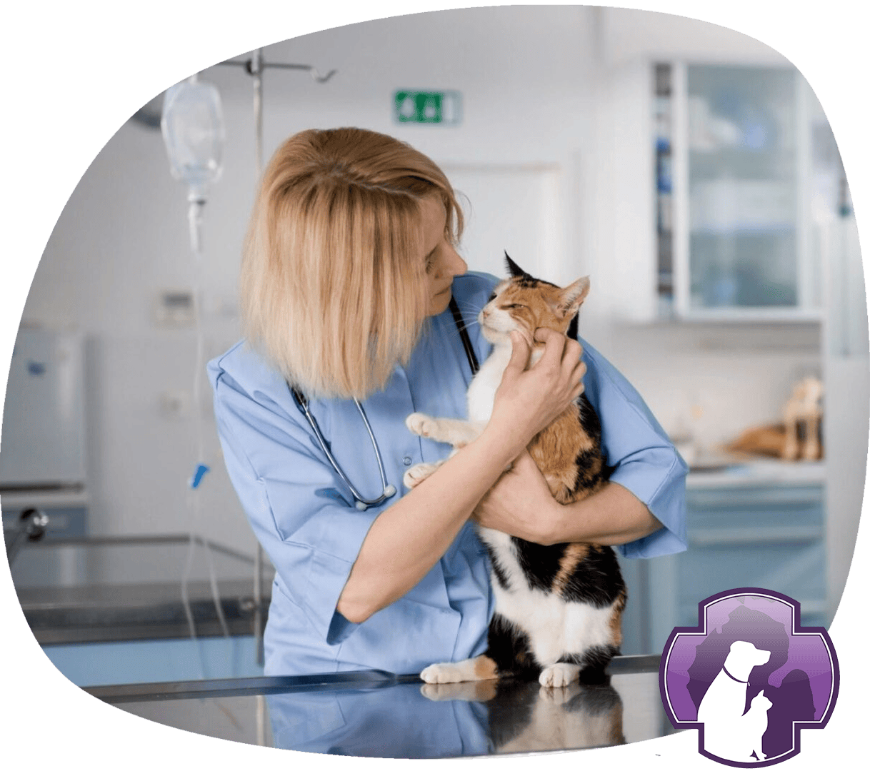 About Us Great Lakes Pet Emergencies