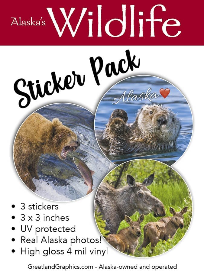 Alaska Wildlife Sticker Pack Greatland Graphics