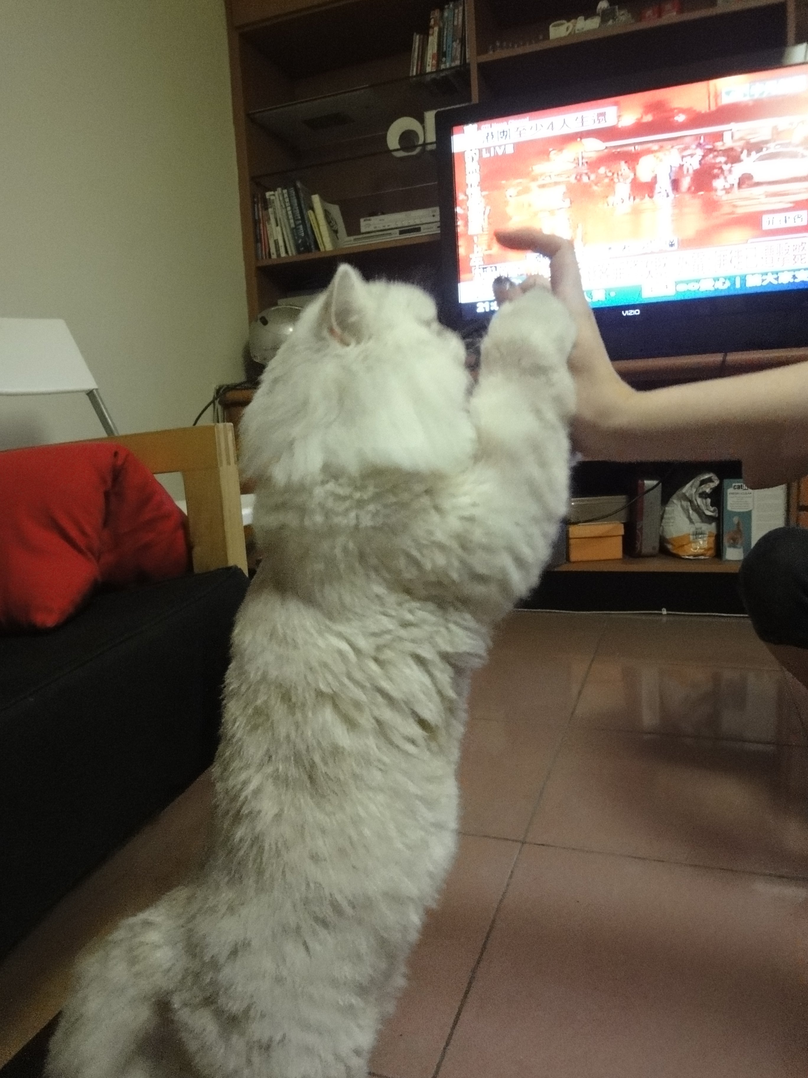 Mijiang Nessimmi's Blog