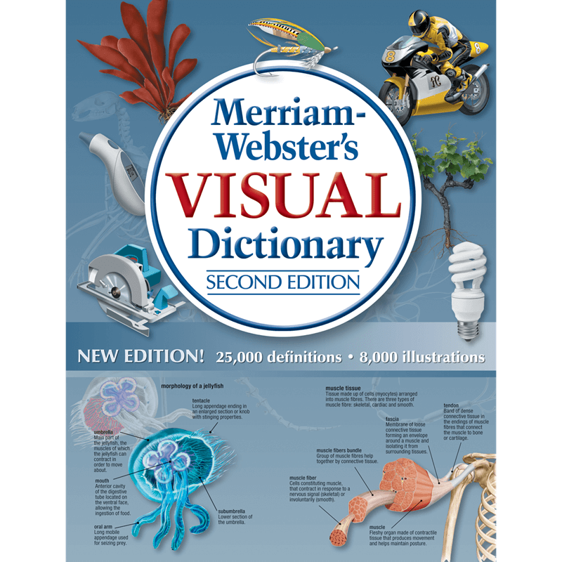 best visual dictionary