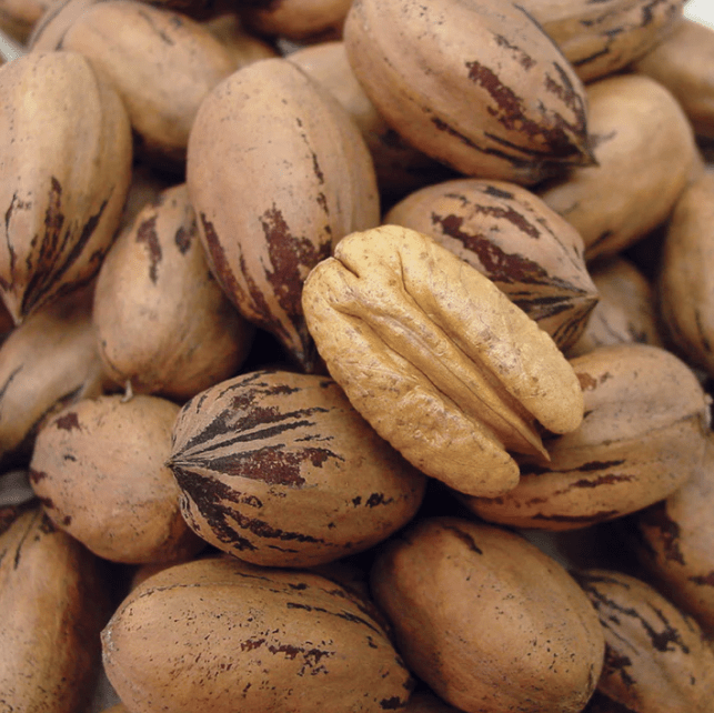 Burlap Bag Pecans The Great San Saba River Pecan Company