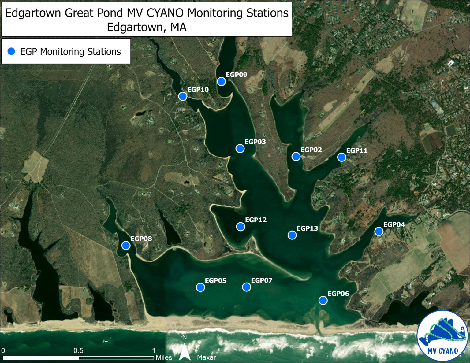 Great Pond Foundation » MV CYANO