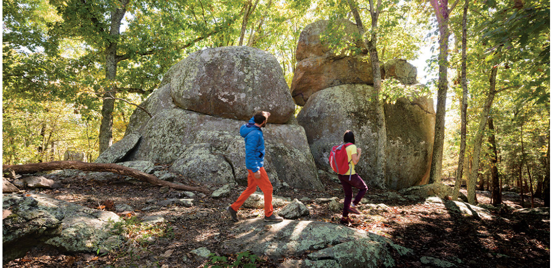 Uwharrie National Forest International Day of Forests Hike with Don