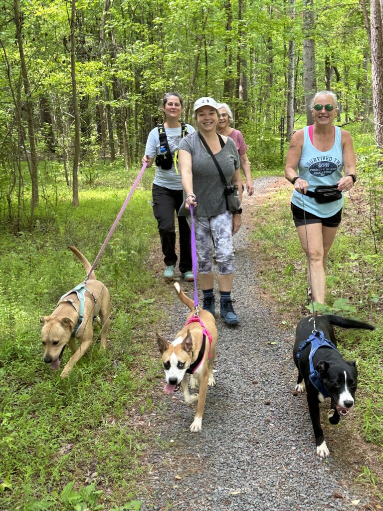 Tails and Trails Montgomery County's Hiking Hope for Shelter Dogs NC