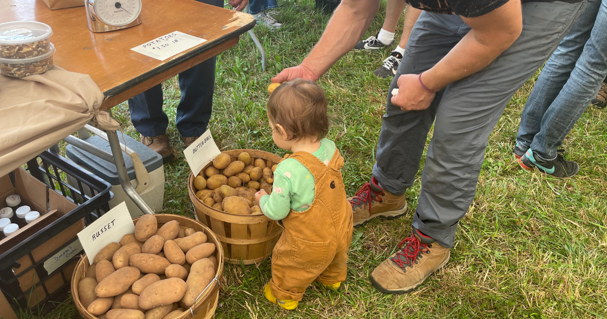 Bovina Farm Day 2023 Great Western Catskills Great Western Catskills