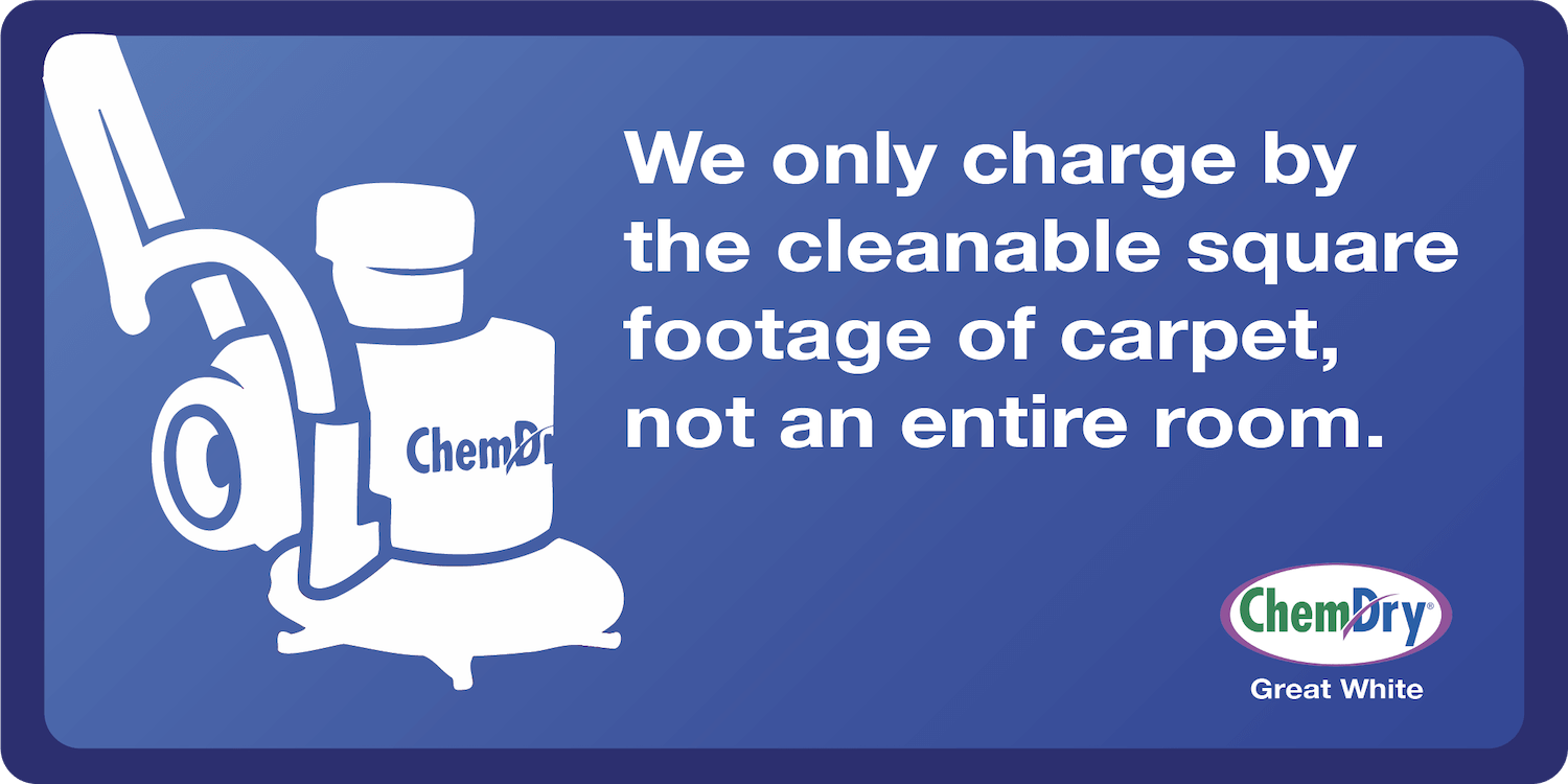 Coos Bay Carpet & Upholstery Cleaning Coupons Great White ChemDry