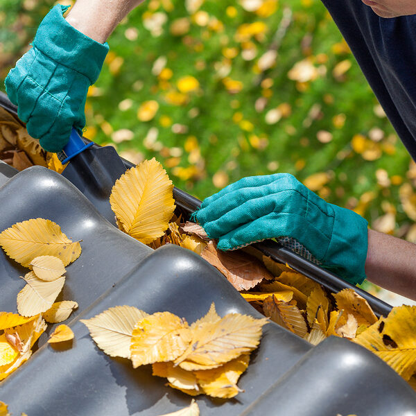 Gutter Cleaning Greeley Rain Gutter Pros