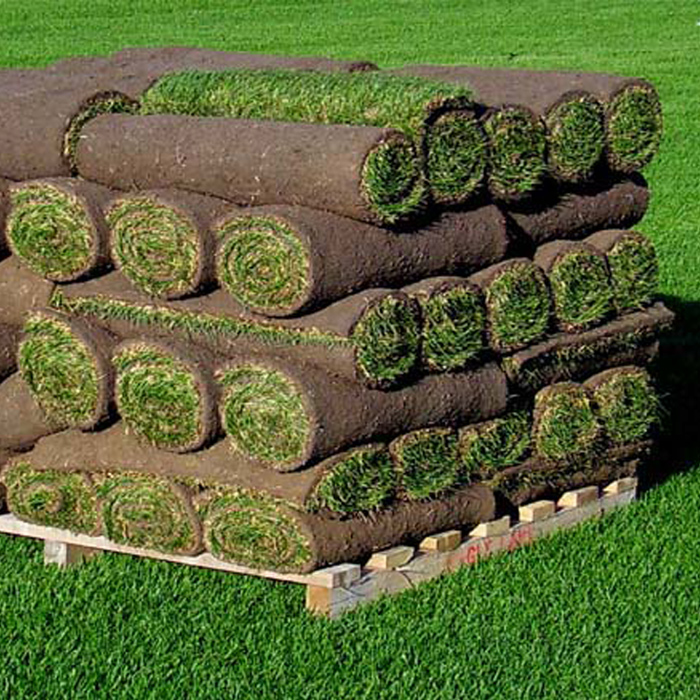 Kentucky Bluegrass Sod Full Skid of Sod Half Skid of Sod Sod Ottawa