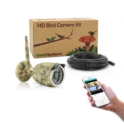 IP Bird Feeder Camera Green Backyard