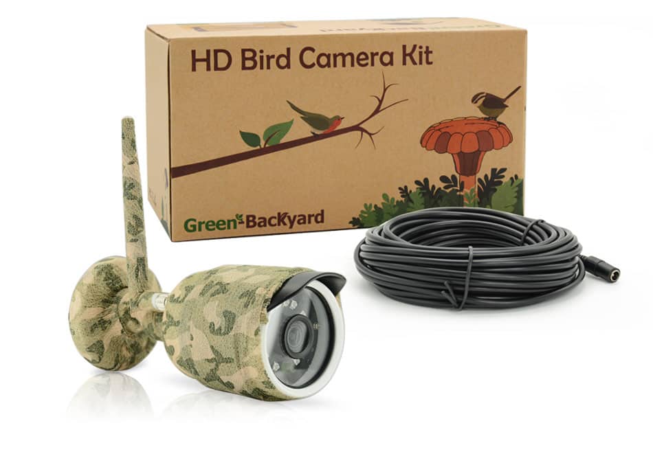 Video Recorder Green Backyard