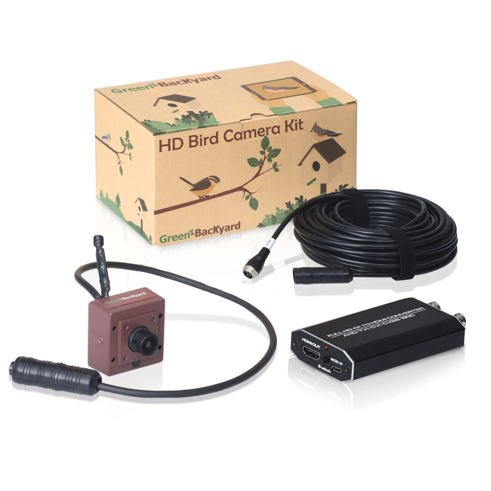 Nistkasten kamera Archives - Green Backyard