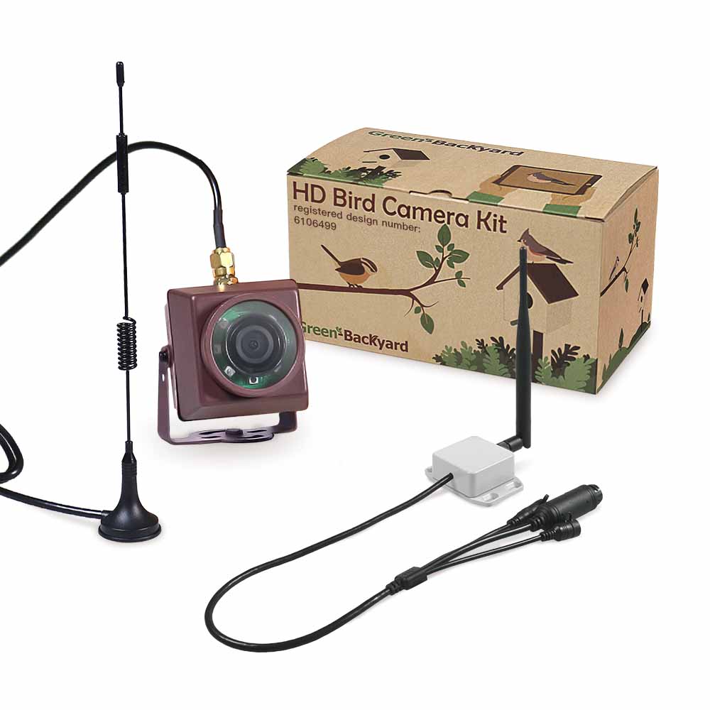 Bird Box Ip Camera at Annie Littlefield blog