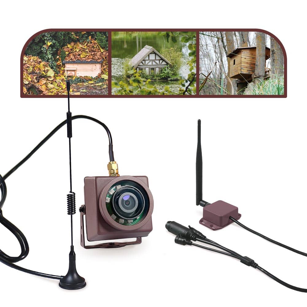 The Best Wildlife Cameras for Bat Watching Green Backyard