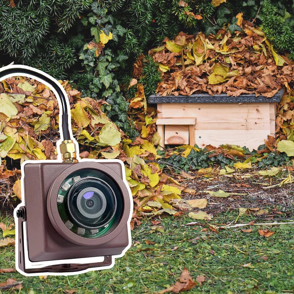 Long Range Wireless Versatile IP Camera Green Backyard