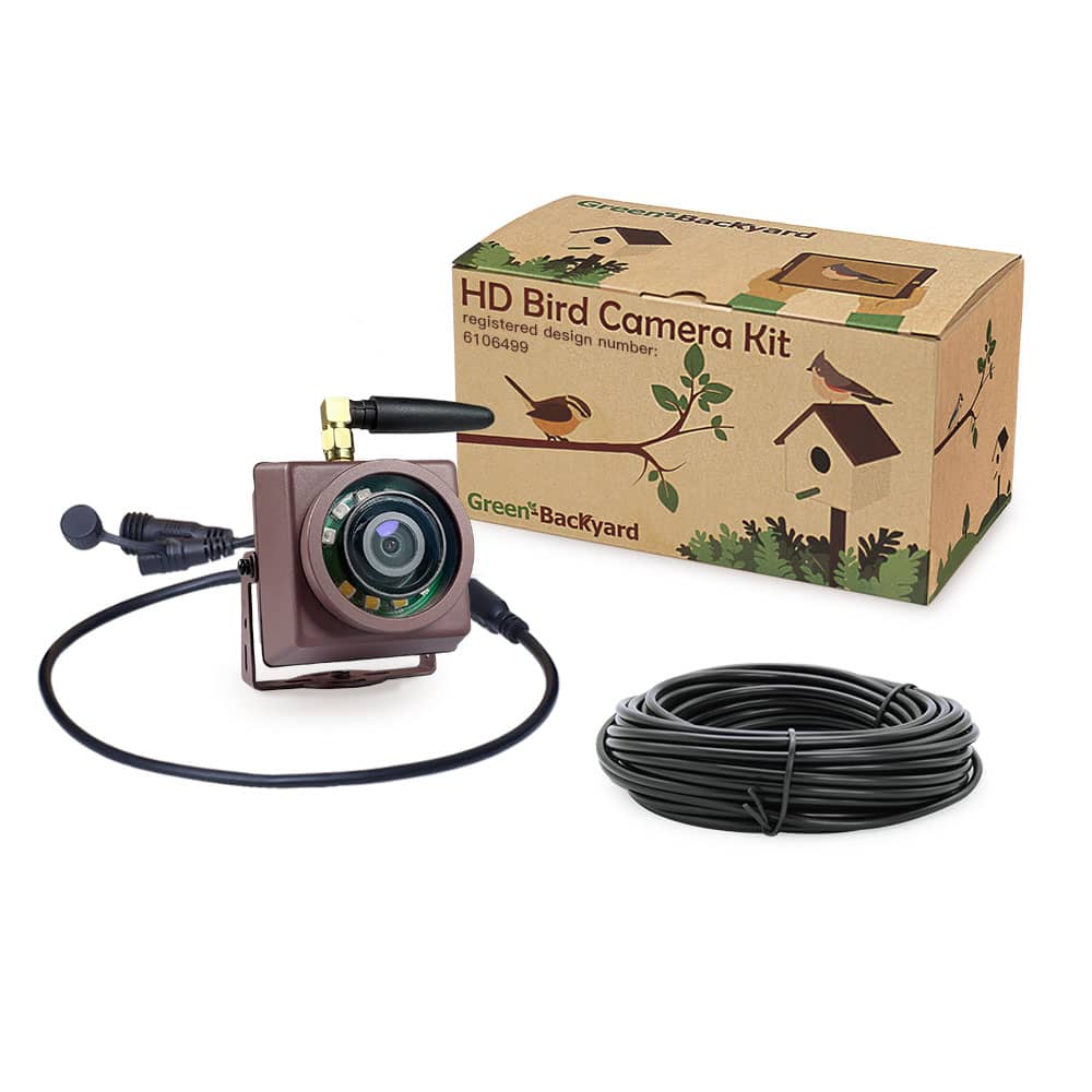 The Best Wildlife Cameras for Filming Hedgehogs Green Backyard