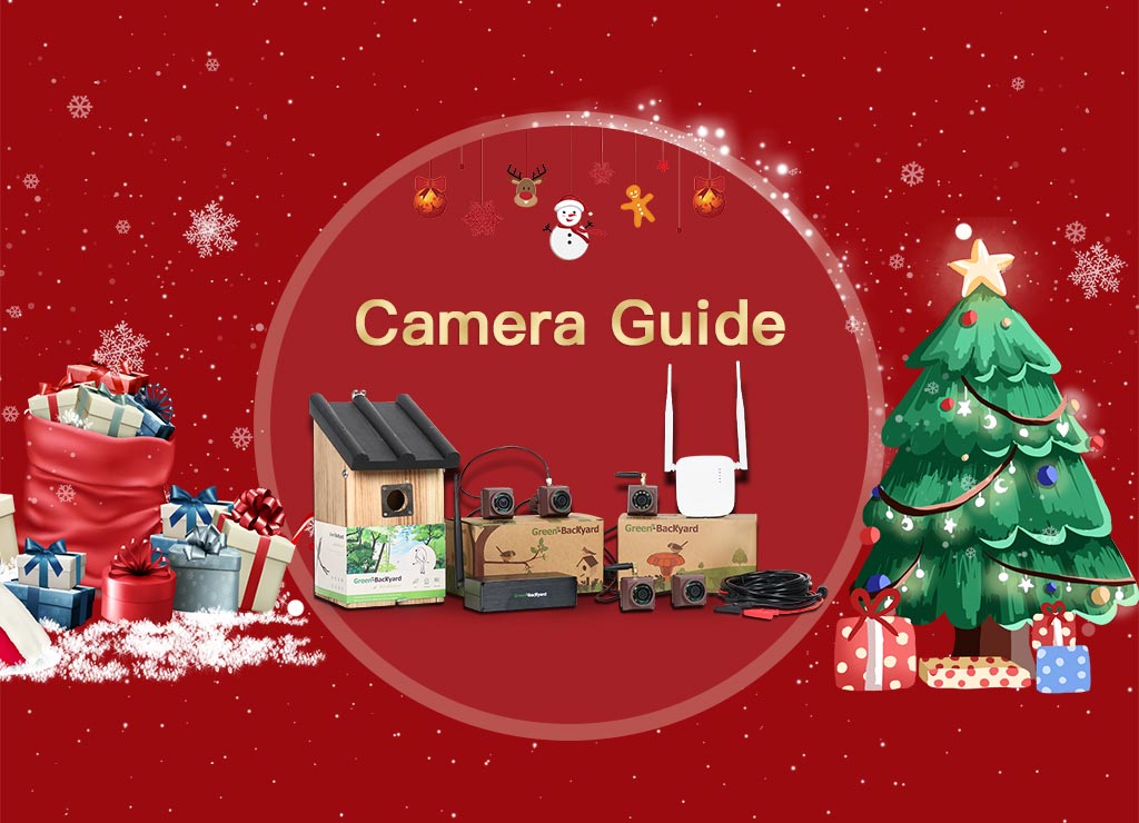 GreenBackyard Bird Box Camera deals & promotion Green Backyard