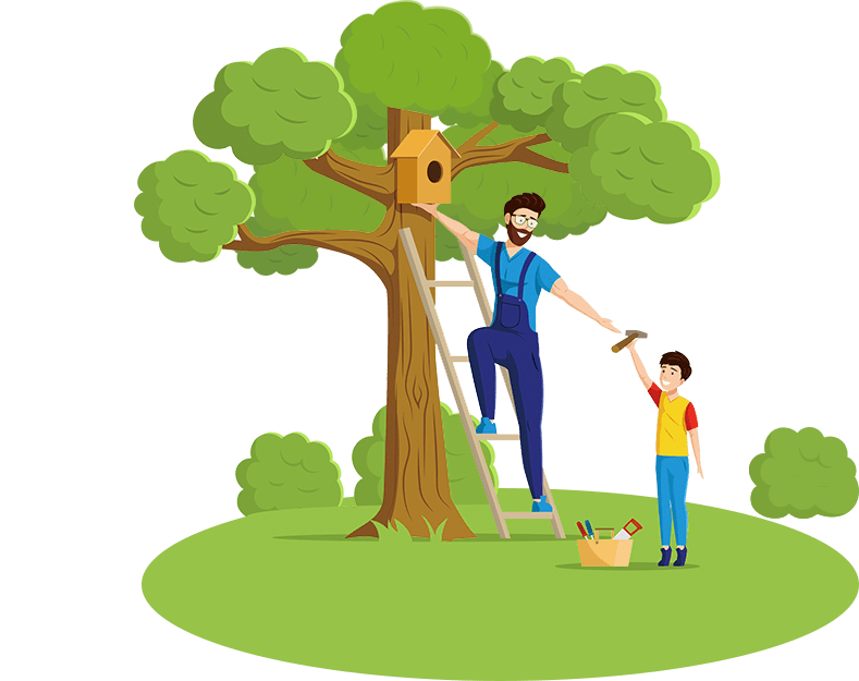 Waterproof bird box cameras for birdhouses Green Backyard