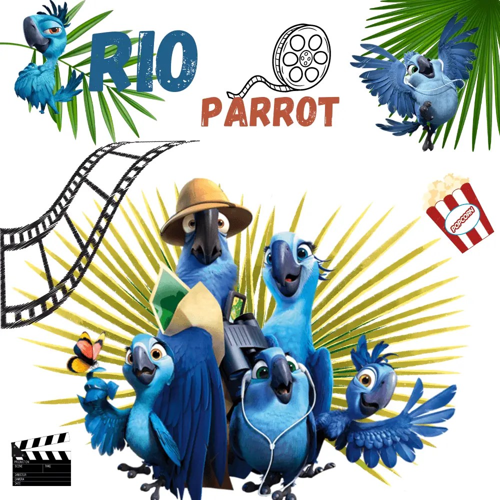 Rio parrot Rio bird movie white parrot from rio rio bird movie
